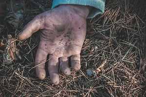 Мужчина наткнулся на останки троих детей во время прогулки с собакой в лесу