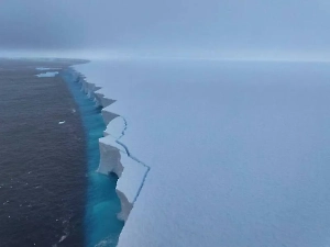 Почему таяние гигантского айсберга-«старичка» А23а запустит опасную цепочку: ответ климатолога