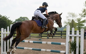 13-летней дочери Семака разрешили выступать на международных турнирах