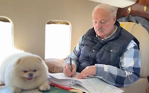 Шпиц Умка полетал над Минской областью, инспектируя работу аграриев