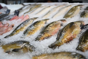 Замороженная, охлаждённая, дефрост: Разбираемся, какая рыба качественнее, безопаснее и вкуснее