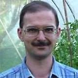 Существуют промышленные плантации, где вербу нарезают для продажи. Там ветки получаются одинакового размера. Вероятно, это безопасные растения. Но есть места, откуда приносить вербу не стоит. К примеру, вдоль автомобильных трасс, железных дорог, промышленных зон и свалок покупать её не рекомендуется. Кроме того, в черте города вербы напитываются талыми водами с противогололёдными реагентами (соли, хлориды) и бытовыми стоками.