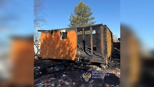 Отец и сын погибли при пожаре в частном доме в Подмосковье
