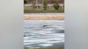 В Уфе школьница провалилась под лёд на озере, пытаясь спасти пьяного рыбака