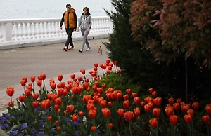 Режим локальной ЧС объявлен в микрорайоне Геленджика после налёта БПЛА