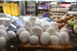 ФАС проверит обоснованность цен на молоко и яйца в торговых сетях