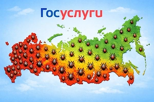 Осторожно, клещи: В Госдуме захотели добавить на «Госуслуги» карту по статистике укусов