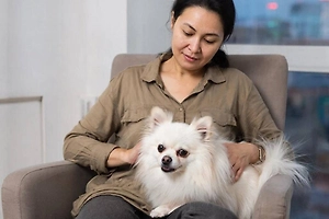 Собачникам и кошатникам подсказали необычные способы заработать на питомцах