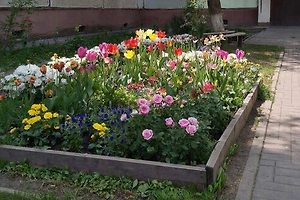 Россиян предупредили о штрафе за создание клумбы во дворе дома