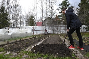 Не «дача с грядками», а земля: Кто из россиян может получить бесплатный участок в 2026-м