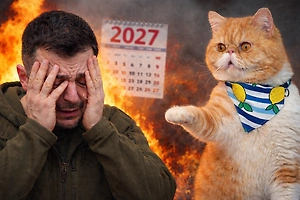 Зеленского свергнут, а 2027 год станет последним: Топ-5 предсказаний кота-пророка, за которым следит весь Рунет 