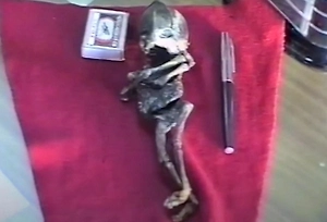 «Взгляд был разумный»: В следствии по делу «гуманоида из Кыштыма» нашли фатальную ошибку