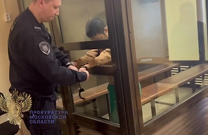 Обвиняемый в покушении на убийство девочки в Подмосковье арестован