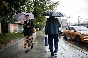 Ураган повалил в Москве 50 деревьев, большая часть из них — клёны