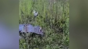 Появилось видео последствий падения беспилотника в турецком Самсуне