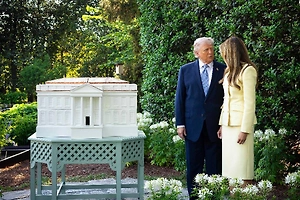 Не «неправильные» пчёлы: Каким может быть мёд из улья, которым Трамп хвастался Карлу III