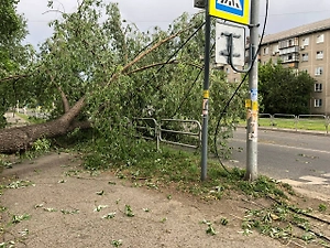 В Челябинске ураган повалил десятки деревьев и повредил порядка 15 машин
