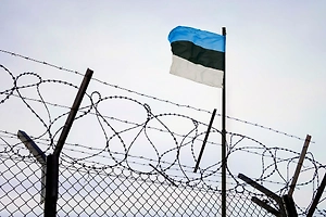 ФСБ: Число провокаций на границе РФ со стороны стран НАТО неуклонно растёт