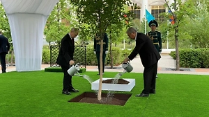 Путин и Токаев приняли участие в посадке дерева дружбы после переговоров