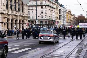 В Вене протестующие выступили за выход Австрии из ЕС и остановку помощи Киеву