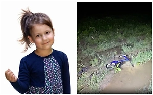 Беговел пропавшей трёхлетней Вероники нашли на опушке леса в Тульской области