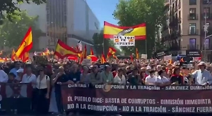 Массовая акция протеста с призывом к отставке премьера Испании прошла в Мадриде