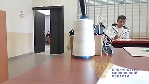 Суд избрал меру пресечения парочке, осквернившей Вечный огонь в Реутове
