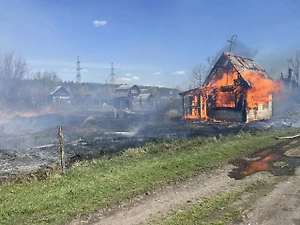 В Красноярском крае из-за пожара сгорели 12 дачных участков

