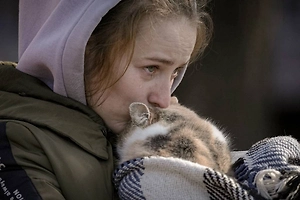 Слёзы в обмен на транши: В Госдуме объяснили, почему Киев сознательно подставляет свой народ под удар