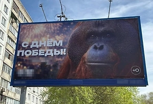 Орангутан на баннере ко Дню Победы возмутил жителей Новосибирска