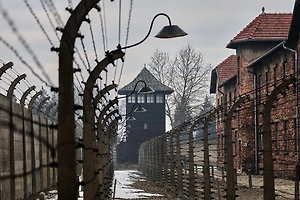 Сыну узника Освенцима из России отказали в посещении музея 