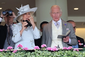 Королевская ставка не сыграла: Лошадь Карла III провалилась на Royal Ascot