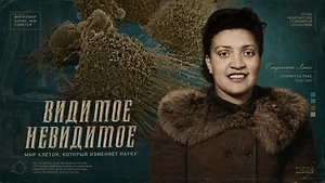 Умерла от рака, но стала бессмертной: как клетки Генриетты Лакс живут и помогают людям в 2026 году