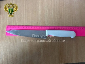 Мужчина пытался зарезать сына и экс-жену из-за детских фотографий в Комсомольске