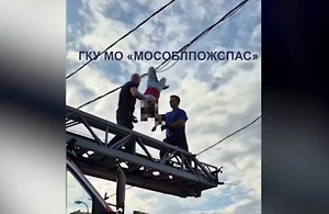 Застрял в воздухе и кричал: Спасатели сняли «человека-паука» с проводов в Томилино