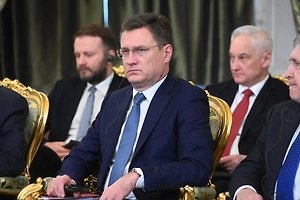 Новак: Ажиотаж искусственно поднял спрос на топливо в РФ на 20–30%