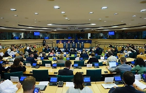 Пора домой! Двум европарламентариям грозит наказание за оскорбление депутата из Ирака