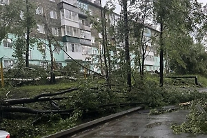 Минимум пять человек пострадали из-за смерча в Свердловской области