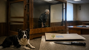 Убивший чужую собаку «ради жира» в Москве получил два года тюрьмы
