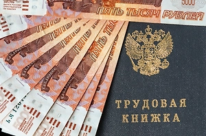 В ЛДПР предложили отменить НДФЛ при доходе до 50 тысяч рублей