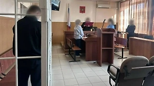 Мужчина, напавший на детей в лагере «Орлёнок», признал вину лишь частично