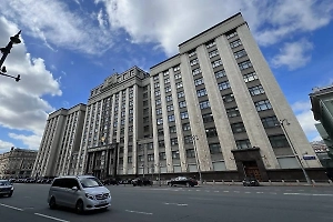 «Каждый хочет быть звездой»: В Госдуме объяснили внезапную активность Германии из-за Украины