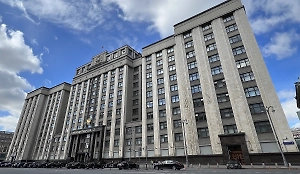 «Отчёты не спасут»: В Госдуме назвали ключевое условие борьбы с травлей в школах