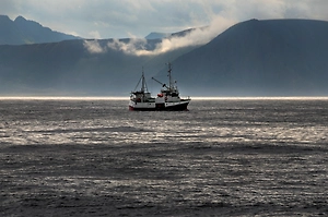 Иран поручил хуситам подготовиться к блокировке Красного моря