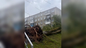 В Твери из-за грозы попадали деревья, а часть улиц оказалась под водой