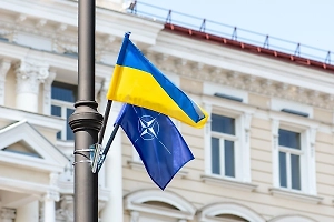 Профессор Диесен обвинил НАТО в войне до последнего украинца