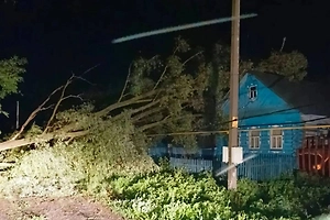 Мужчину насмерть придавило упавшим деревом во время урагана в Татарстане