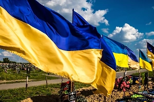 Дожить до фронта: На полигоне ВСУ под Сумами запытали до смерти 30 новобранцев
