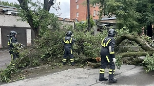 Ураган повредил 14 детских садов и 16 школ в Ростове-на-Дону