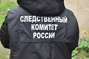 Жителя Сахалина арестовали по делу о призывах к терроризму